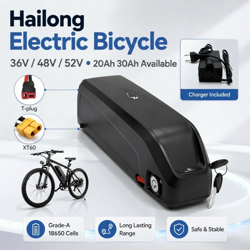 Multi-Size Ebike Battery Hailo - đánh giá và giá Ebike Battery 48V 20Ah Hailong